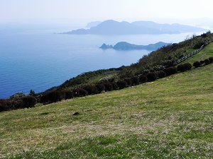 s-20111020 yamaguchi  (03).jpg